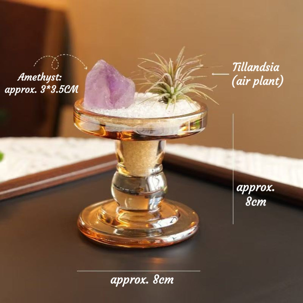 Crystal Air Plant Zen Desk Decor | Natural Raw Crystal Handcrafted Tillandsia Ornament
