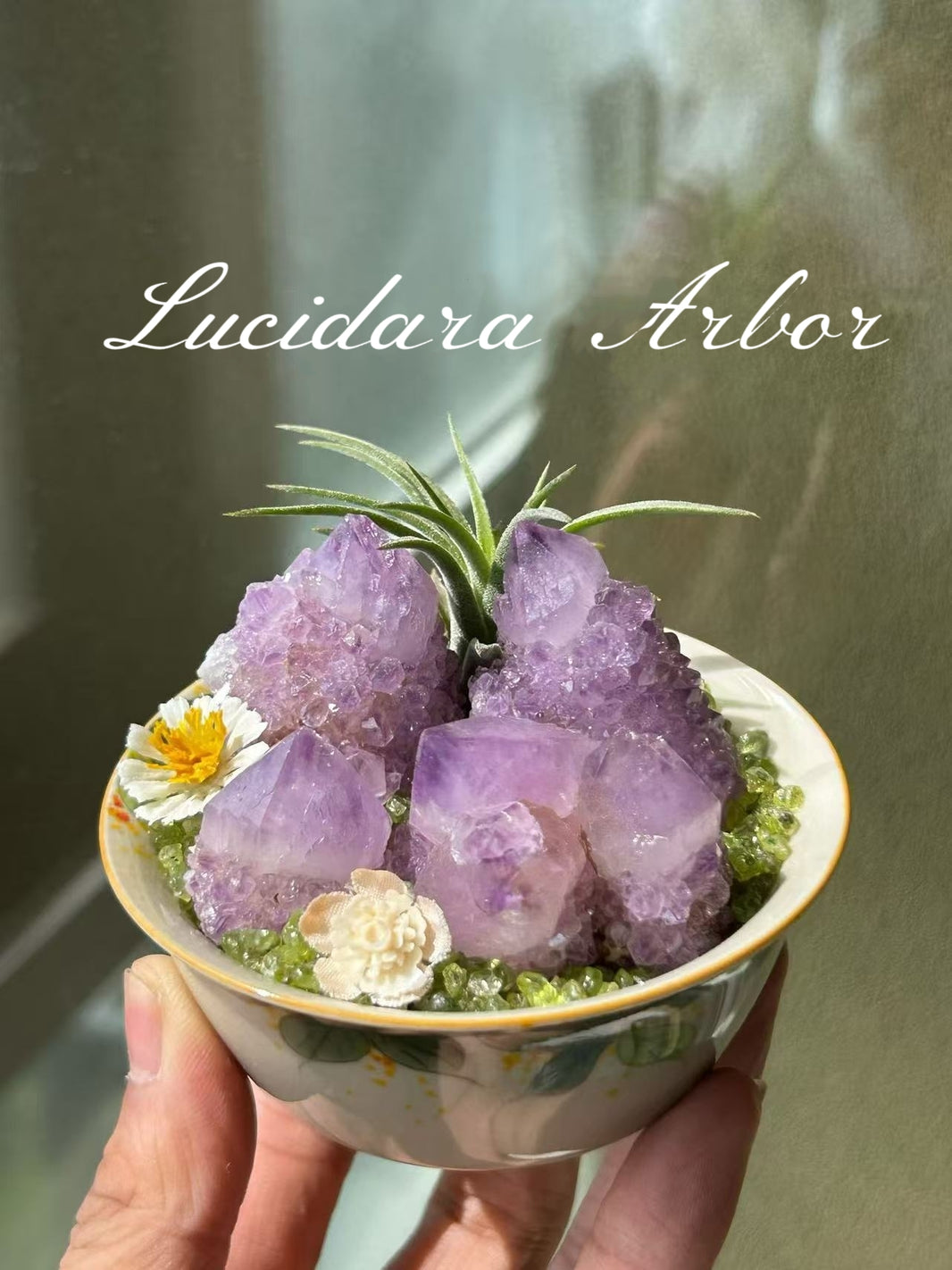 Lavender Hush