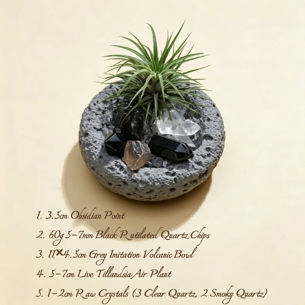 Crystal Air Plant Tillandsia Mini Desktop Planter Ornament