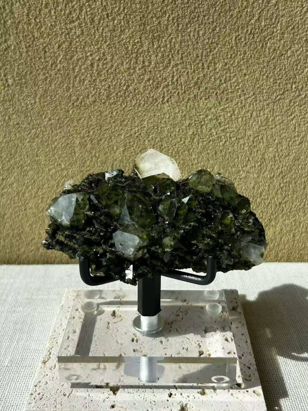 Forest Heart