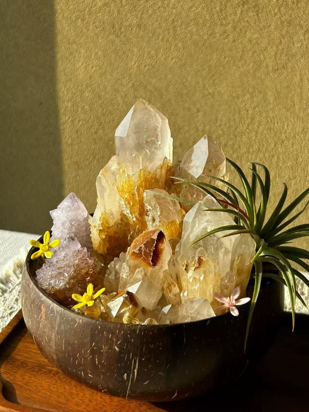 Gem Harmony