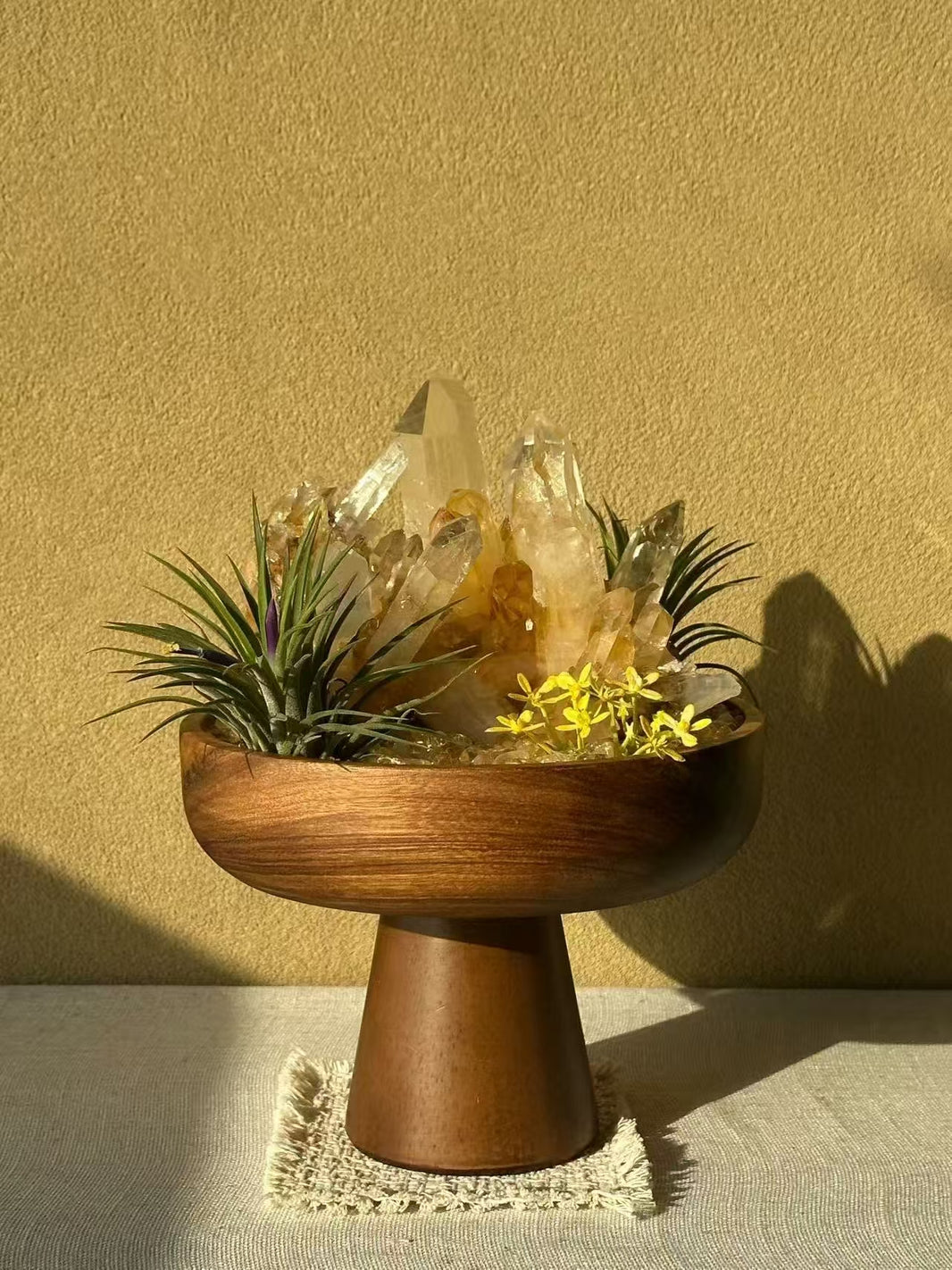 Solar Bloom